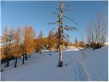 Planina Zajavornik - Vrh Razora